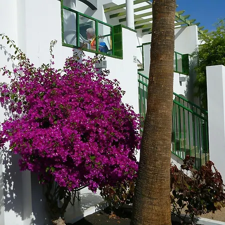 Guacimeta Matagorda (Almeria)