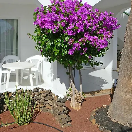 Guacimeta